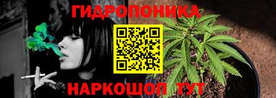 гидра Донецк