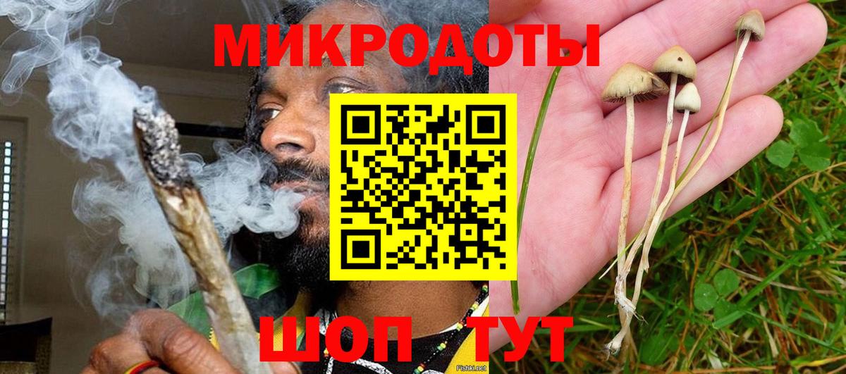 Галлюциногенные грибы Psilocybe  Вход с VPN  Димитровград 